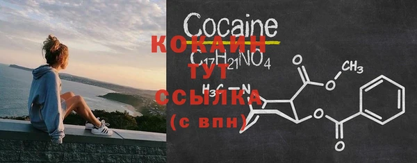 ПСИЛОЦИБИНОВЫЕ ГРИБЫ Богданович