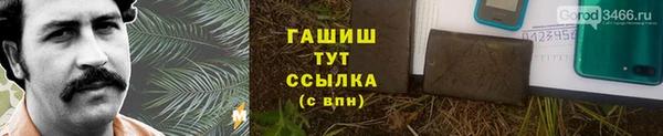 a pvp Бородино