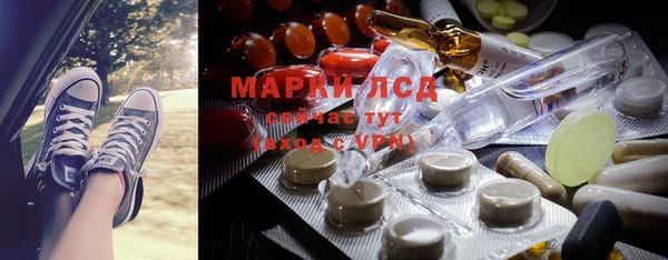 a pvp Бородино