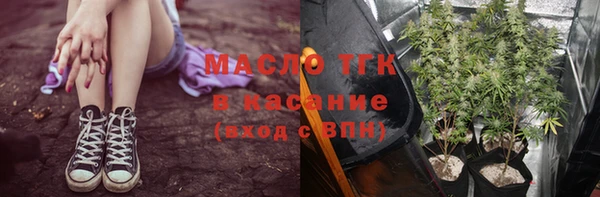 ПСИЛОЦИБИНОВЫЕ ГРИБЫ Богданович