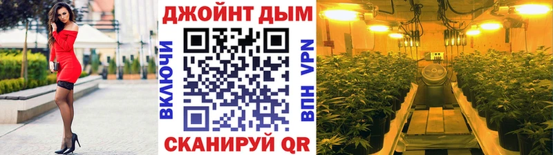 где можно купить   Ессентукская  Марихуана Ganja 